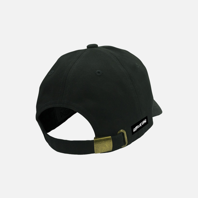 2.0 Dad Hat